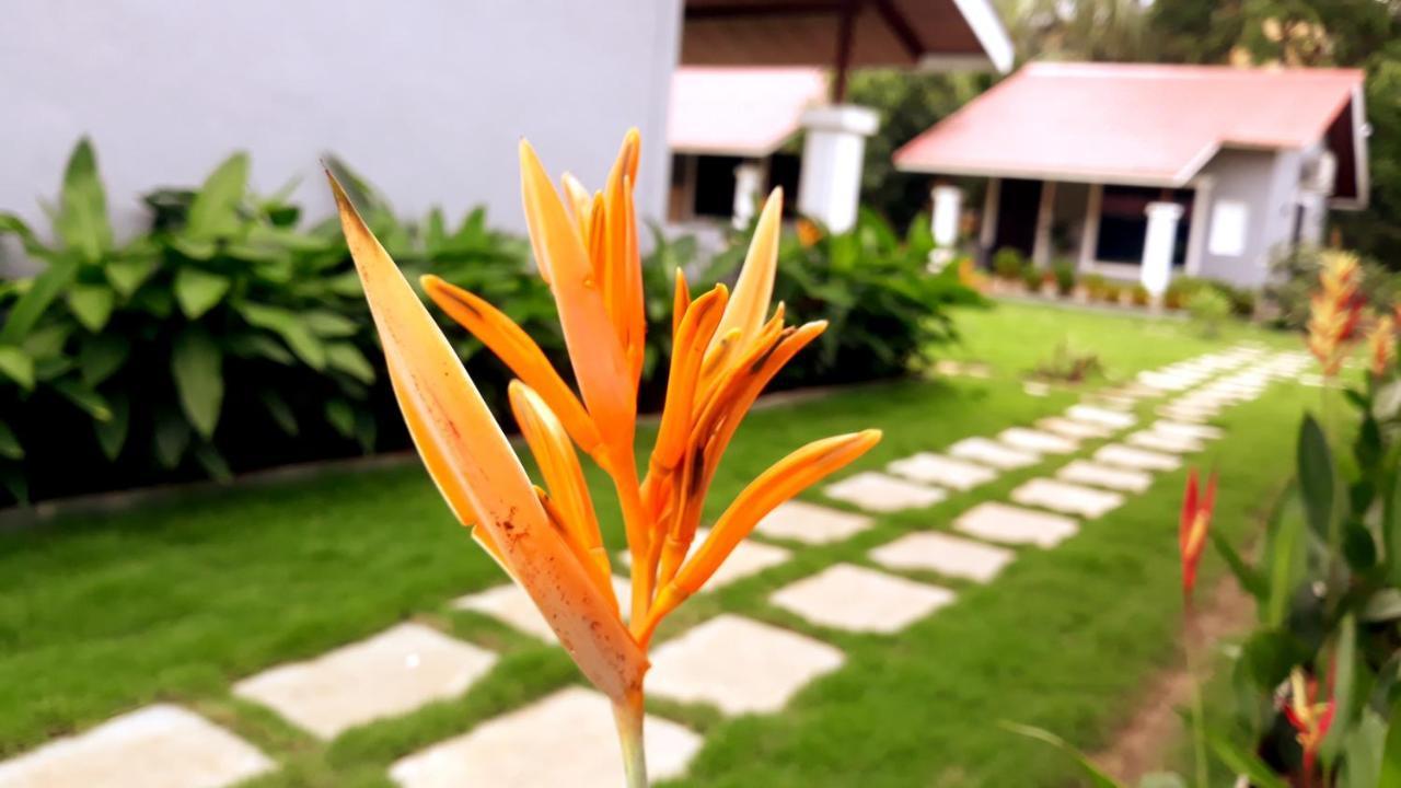 Arcadia Resort Alibaug Alībāg Ngoại thất bức ảnh